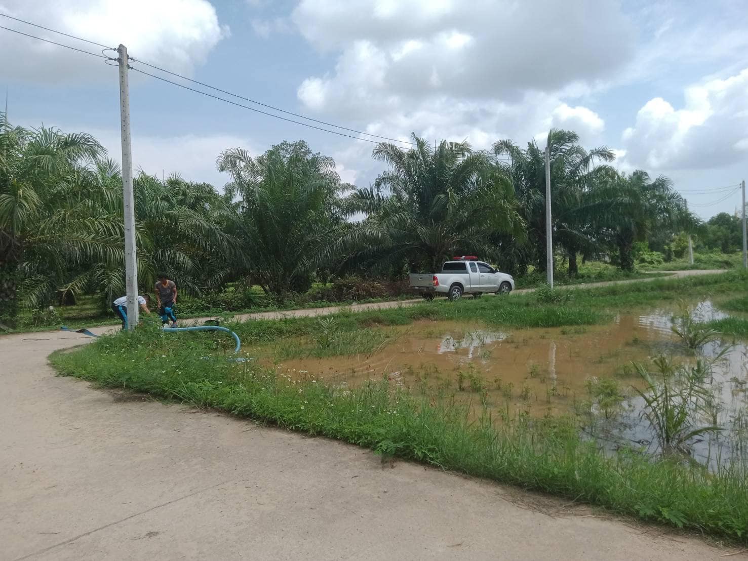 งานป้องกันและบรรเทาสาธารณภัย สำนักปลัด เทศบาลตำบลวังไผ่ ติดตั้งเครื่องระบายน้ำ ตามแหล่งชุมชนในเขตเทศบาลตำบลวังไผ่ 💡 คลิ๊ก Link ด้านล่างเพื่อดูข้อมูล