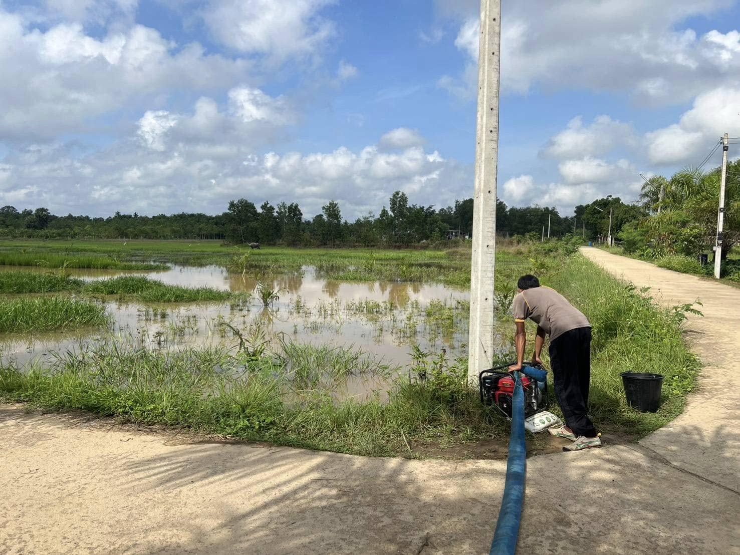 งานป้องกันและบรรเทาสาธารณภัย สำนักปลัด เทศบาลตำบลวังไผ่ ติดตั้งเครื่องระบายน้ำ ตามพื้นที่การเกษตรที่มีน้ำท่วมขัง 💡คลิ๊ก Link ด้านล่างเพื่อดูข้อมูล
