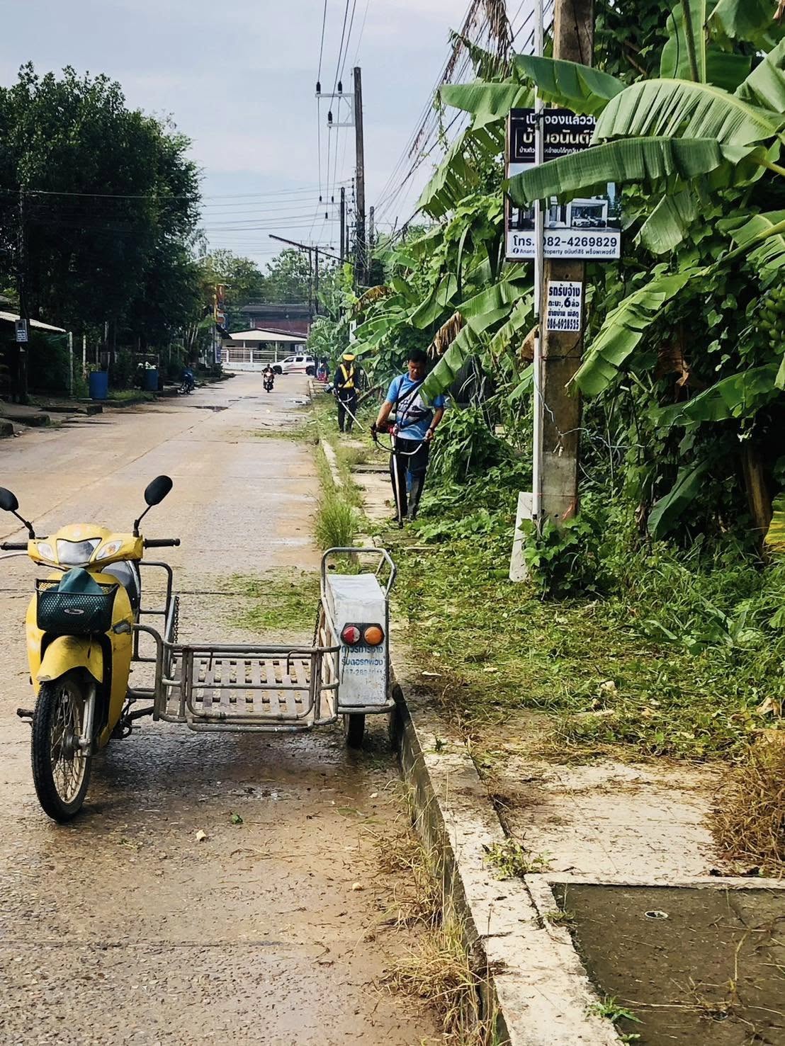 ดำเนินการตัดหญ้าและปรับพื้นที่ริมถนนสาธารณะในพื้นที่เทศบาล ✅ คลิ๊ก Link ด้านล่างเพื่อดูข้อมูล👇