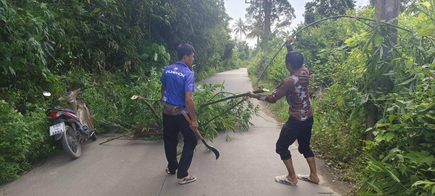 กองช่างลงพื้นที่ตัดกิ่งไผ่ที่ล้ำถนน ตามที่ประชาชนร้องขอ บริเวณซอยสุขาภิบาล 1/2 ✅ คลิ๊ก Link ด้านล่างเพื่อดูข้อมูล👇