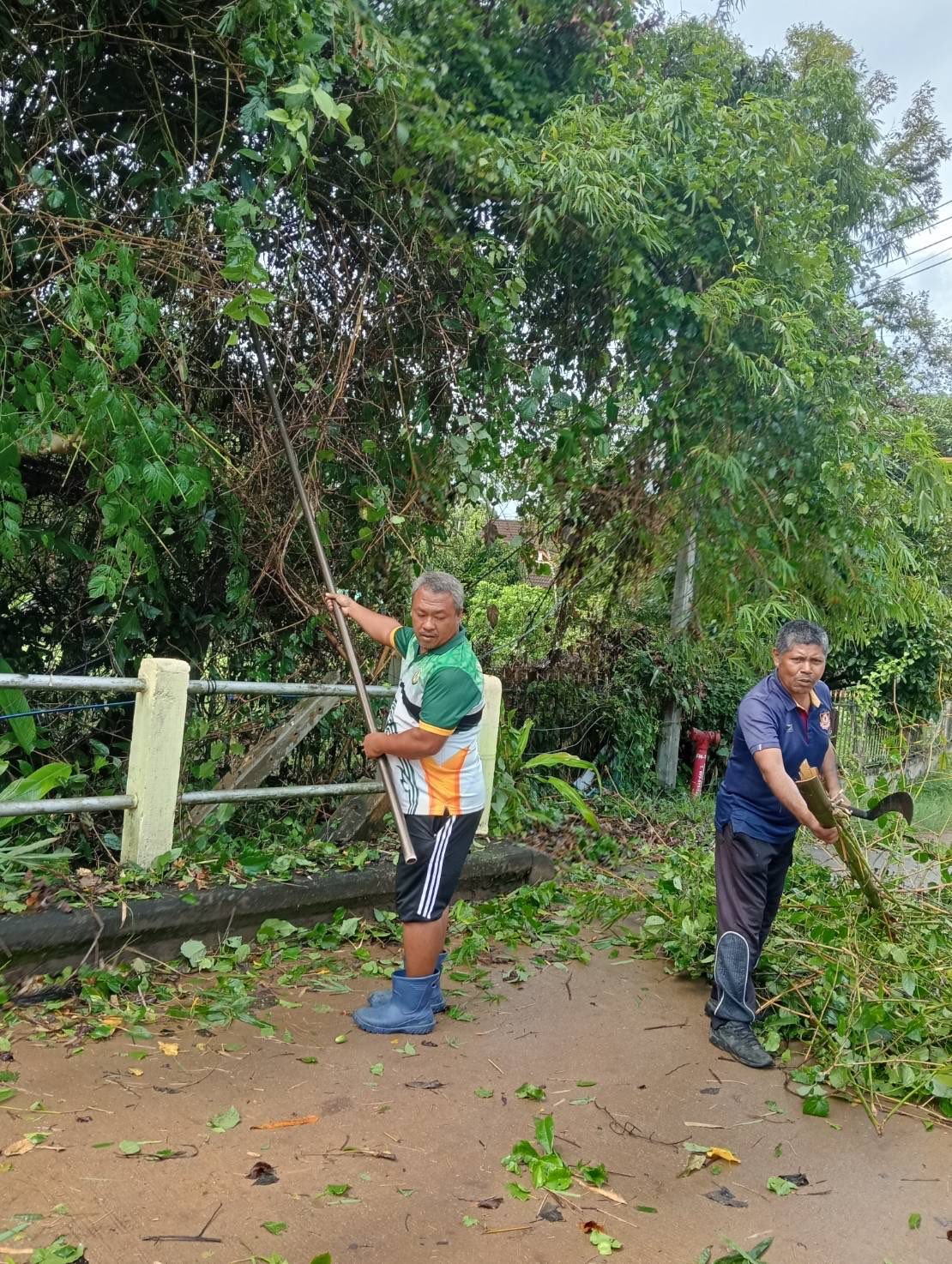งานป้องกันและบรรเทาสาธารณภัย ตัดกิ่งไม้ที่ยื่นล้ำออกมาแนวถนนบดบังวิสัยทัศน์ ✅ คลิ๊ก Link ด้านล่างเพื่อดูข้อมูล👇