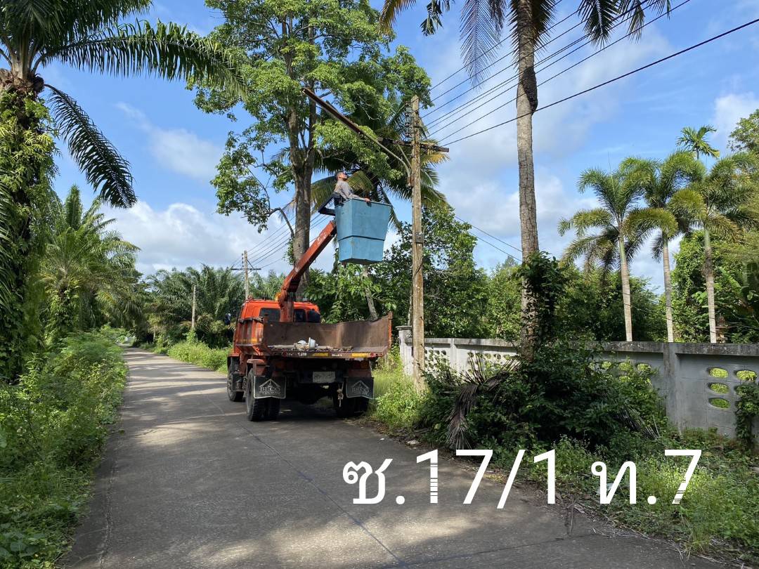 กองช่างลงพื้นที่ตัดหญ้าริมถนนและซ่อมแซมไฟฟ้าส่องสว่างในเขตเทศบาลตำบลวังไผ่