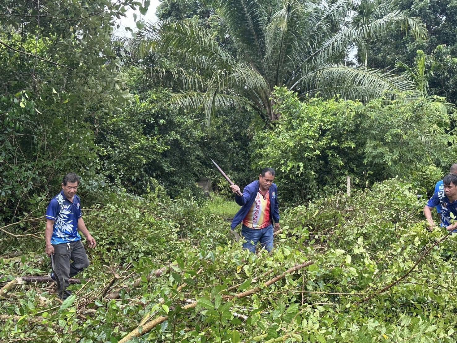 งานป้องกันและบรรเทาสาธารณภัย ลงพื้นที่ตัดต้นไม้ที่ยื่นล้ำถนน